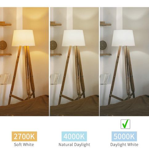 Bombillas Led St58 De 6 W, 600 Lm, E26, Regulables 5000 K, 6