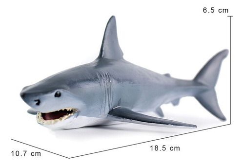 B. Megalodon-tiburón De Juguete Prehistórico Educación Oceán