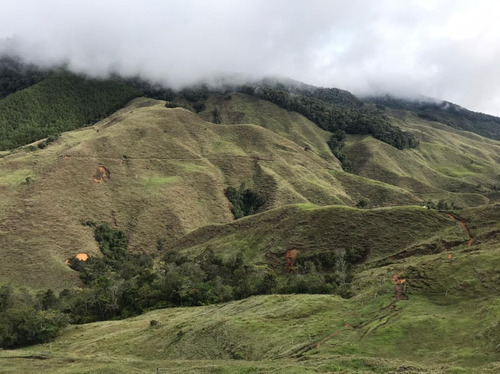 Imagen 23 de 30 de Finca En Venta Urrao 458 Ha, Para Siembra Aguacate
