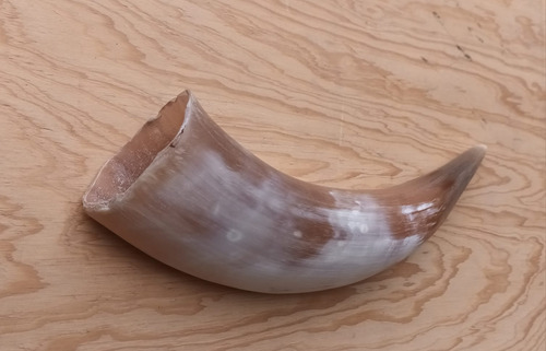Cuernos De Toro De 33 Cm De Largo Cada Uno (#63)