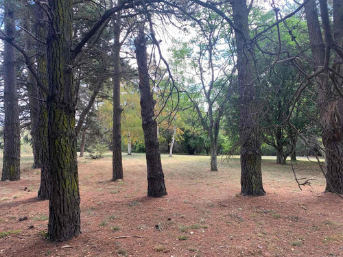 Imagen 9 de 16 de Hotel De Cabañas Con Casa Principal - La Mejor Zona - Tandil
