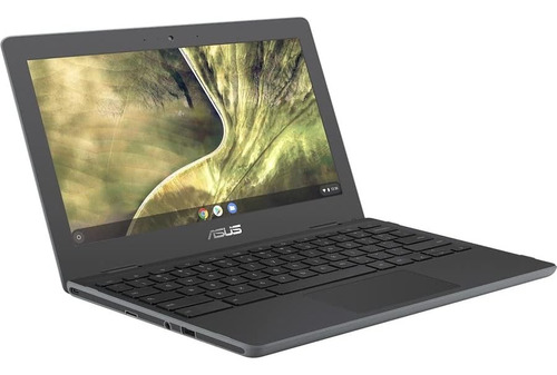 Asus Chromebook Cinch Chromebook Resistente - Hd - 1366 X 76