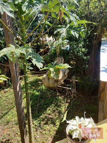 Imagem 4 de 23 de Chácara Com 2 Dormitórios À Venda, 900 M² Por R$ 450.000,00 - Jardim São Domingos - Guarulhos/sp - Ch0002