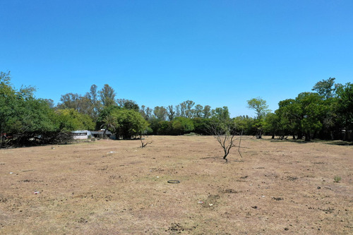 Terreno En Venta 1ha - Ideal Desarrollo Inmobiliario