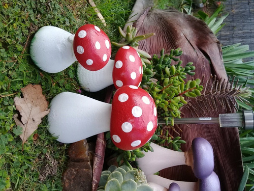 Hongos Adorno Para Jardín En Cemento