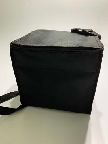 Bolso Térmico Para Delivery De Empanadas Y Bandejas