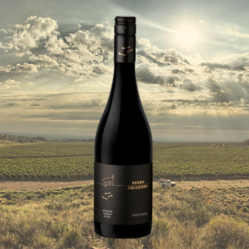 Vino Perro Callejero Pinot Noir 750ml X6