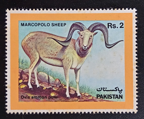 Pakistan Fauna, Sello Sc 674 Oveja Año 1986 Nuevo L18724