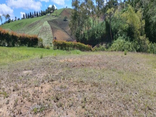 Lotes Para Venta En Carmen De Viboral (14400).