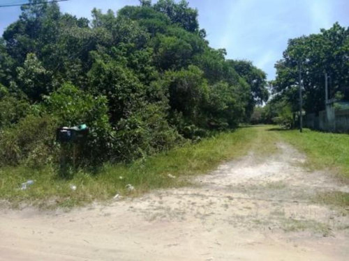 Lote Para Formar Chácara No Bopiranga Em Itanhaém - 4824 Npc