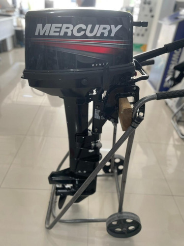 Imagem 3 de 5 de Motor Mercury 8hp Rabeta Longa Ml