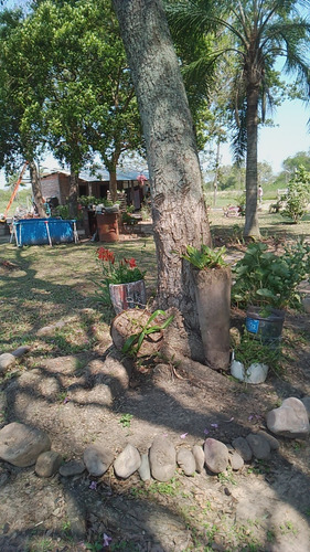 Quinta