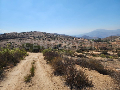 Terreno Rustico En Tecate, Misma Entrada Del Balneario Los Alisos