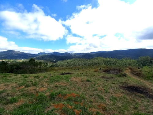 Imagem 7 de 14 de Terreno De 600m² Documentação Em Dia. A 30 Minutos Do Aeroporto