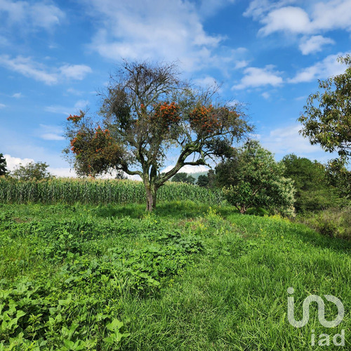 Venta Terreno 0 Ambiente San Antonio Zoyatzingo