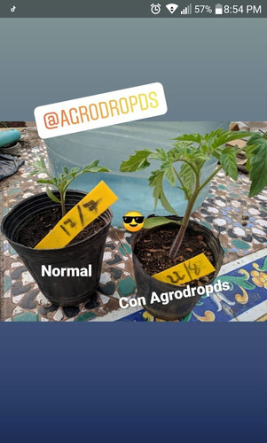 Agrodrop 2kg - Árboles, Plantas, Paisajismo, Jardin, Indoor