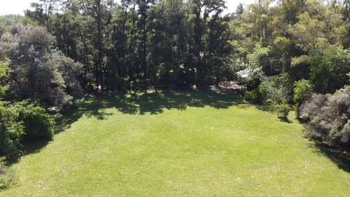 Terreno Sobre Ruta 8