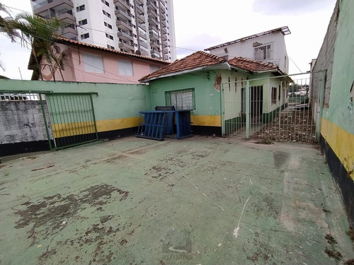 Imagem 2 de 13 de Terreno Na Vila Matilde - 3396-1