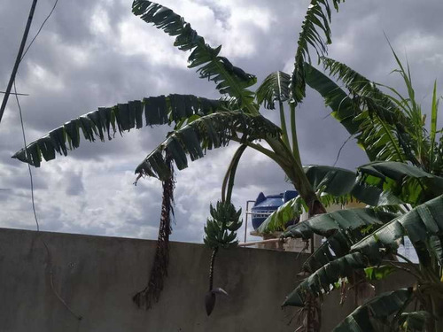 Imagem 10 de 15 de Terreno Parque São Martinho - Bitr00033