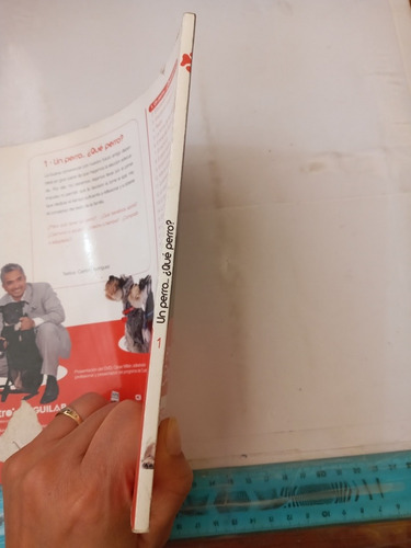 El Encantador De Perros No 1 Un Perro Que Perro Aguilar (Usado)