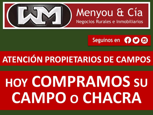 Venta Compra De Campo De 200has A 2500has Forestal Ganadero