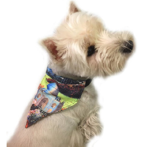 Collares Para Perros O Gatos Con Pañuelo Bandana Ajustables Color Estampado S-taj Mahal