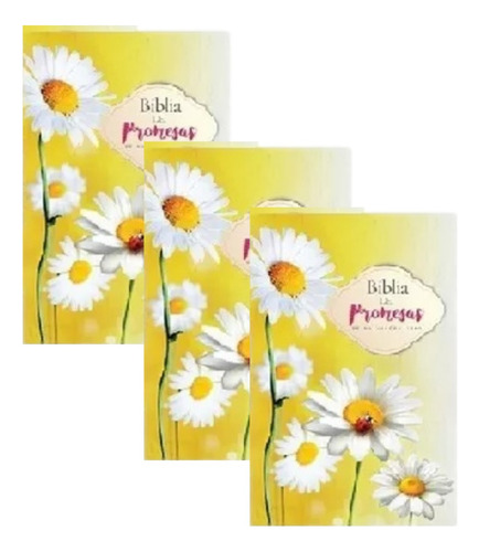 Pack 3 Biblias Promesas Mujer Tapa Blanda Rvr 1960