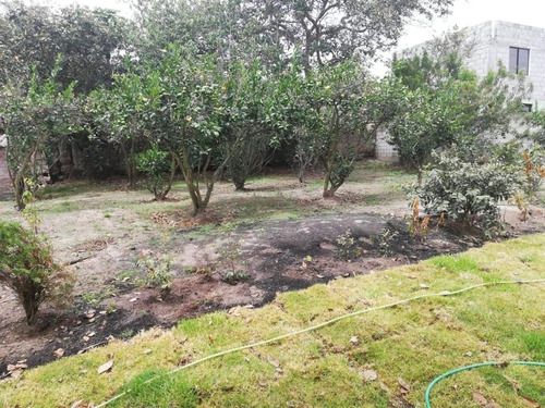 Imagen 28 de 29 de Oportunidad Venta De Propiedad En Puembo.