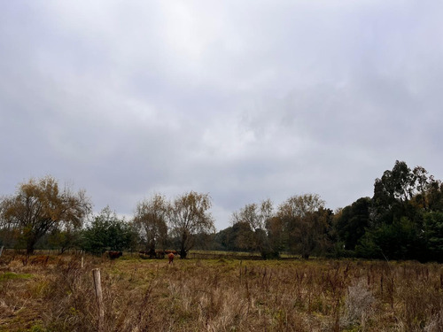 Excelente Parcela De 6000 M2 A Pocos Minutos De Talca