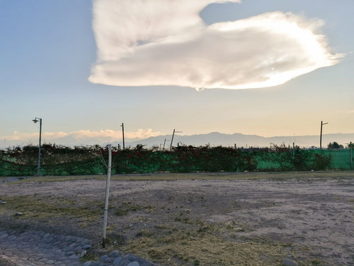 Imagen 6 de 17 de Terreno En Venta B° Privado Zettavi Lujan De Cuyo