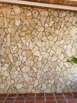 Comprar Piedra Coralina Para Venecianos. Pisos Y Pared