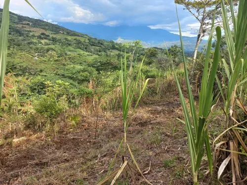 Venta De Lote En Villeta, Vereda Cune