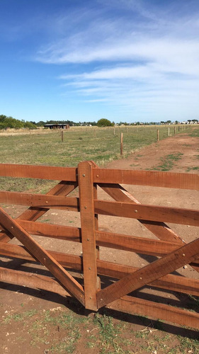 Imagen 7 de 9 de Hermosos Lotes En Domselaar,muy Buena Zona