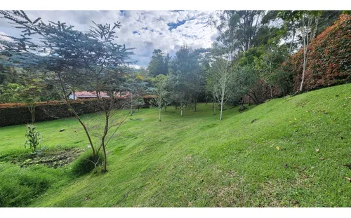 Venta Lote Vereda La Lorena Llanogrande