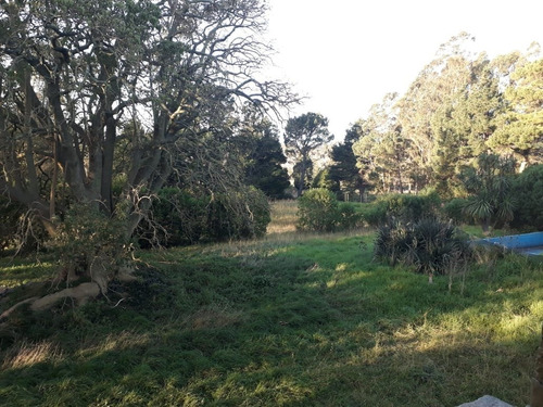 Imagen 17 de 23 de Campo 5 Ha Arboledas Añosas 2 Piletas Natac. Complejo C/instalac. Y Vvda Aptas Varios Destinos