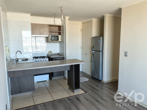 Departamento En Arriendo De 2 Dorm. En Viña Del Mar