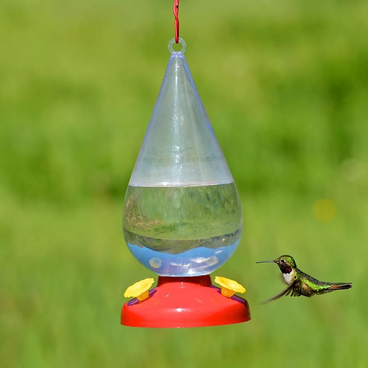 Tercera imagen para búsqueda de bebedero colibri