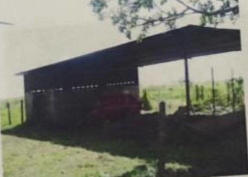 Imagen 7 de 17 de Se Vende Finca En Caicarita Estado Monagas Ve02-1095mced-mtru