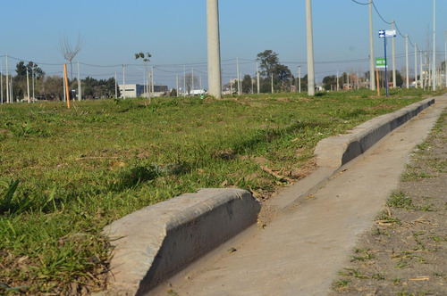 Imagen 6 de 17 de Ecopueblo - 300 M2