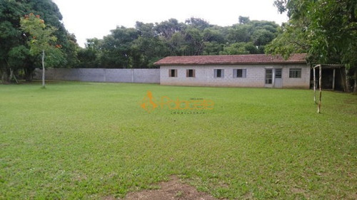 Imagem 4 de 13 de Rural Chacara - 941721-l