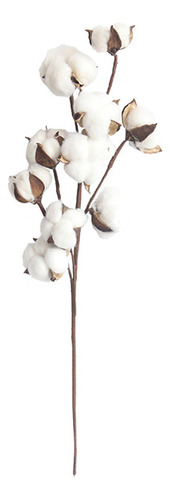 Xiaery Tallos De Algodón, Flores Secas, 10 Cabezas