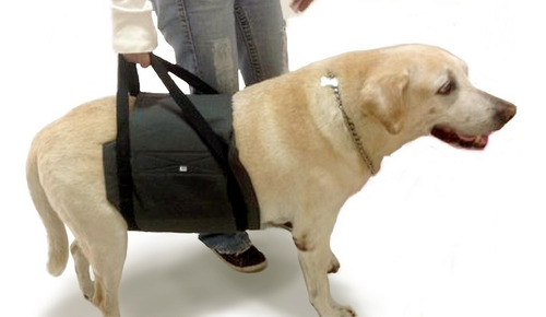 Suporte Apoio Para Cão Com Displasia/dores-tam Gg (85-106cm)