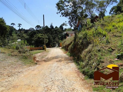 Imagem 5 de 15 de Lote À Venda - 2079