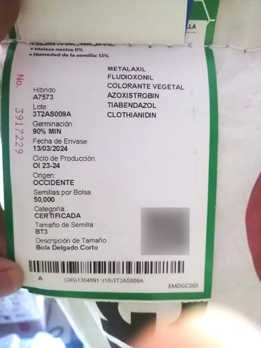 Semilla De Maíz Elotero 7573 Asgrow 1 Kg Agranel/tratamiento