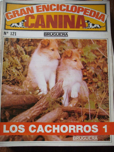 Gran Enciclopedia Canina N° 121 Los Cachorros - Como Nuevo