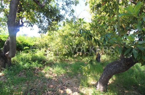 Sitio En Cajón De Machalí