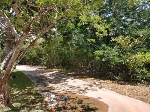 Imagen 3 de 4 de Excelente Terreno En Venta En Yucatan Contry Club