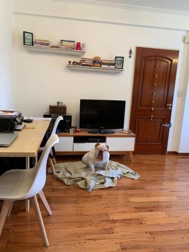 Imagen 6 de 17 de Ph En Venta En Villa Luro