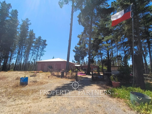 Algarrobo, Bosque De Algarrobo Parcela 100% Plana