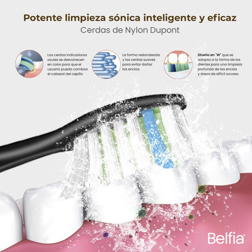 Cepillo De Dientes Eléctrico Belfia B10 Con 4 Picos, 6 Modos De Uso Usb